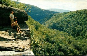 New York Catskills Haines Fall Countryside Scene 1959