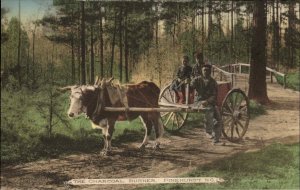 Pinehurst NC Charcoal Burner Oxen Wagon Kids c1915 Postcard
