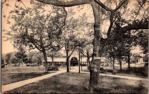 Martha's Vineyard  Oak Bluffs  Massachusetts  Postcard - Trinity Park