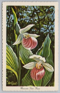 Minnesota State Flower-Showy Lady's Slipper~1966 Artist Ken Haag Postcard 