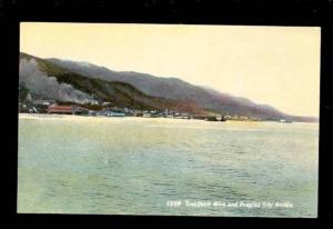 LP29 Douglas City Alaska Treadwell Mine Postcard