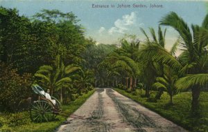 PC CPA SINGAPORE, ENTRANCE TO JOHORE GARDEN, Vintage Postcard (b19653)