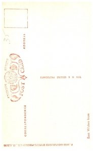 Dog ,  Sealyham Terrier , artist signed ,