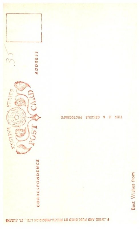 Dog ,  Sealyham Terrier , artist signed ,