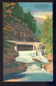 Catskill Mountains, New York/NY Postcard, Moore's Bridge, Rip Van Winkle Trail