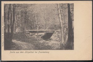 Germany Postcard - Partie Aus Dem Lutzelthal Bei Frankenberg   T3011