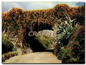 Modern Postcard Magnificent Bignonias Overhanging entrance to a private Quint...