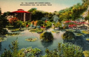 Texas San Antonio Brackenridge Park Tea Garden and Sunken Garden