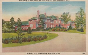 Postcard Pink Palace Museum Natural History Memphis TN