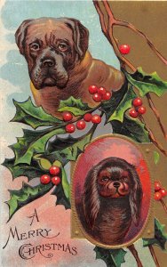 J40/ Merry Christmas Postcard c1910 Cute Pet Dogs Holly 130