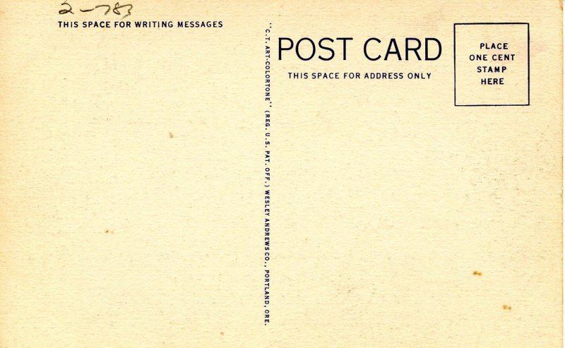 Rodeo Bull Dogging Scenes