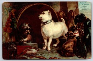 Alexander Diogenes Landseer Tate Galley London Pet Dogs Breed Animals Postcard