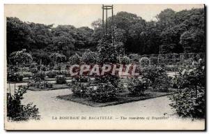 Paris Postcard Old Rose Garden Bagatelle