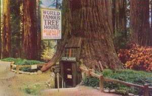 World Famous Tree House Redwood Highway Laytonville California