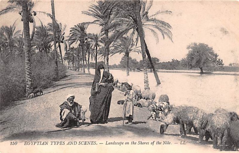 Landscape on the Shores of the Niles Egypt, Egypte, Africa Unused 