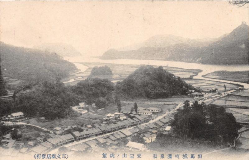AERIAL VIEW OF TOWN NEAR WATER IN JAPAN POSTCARD 