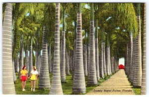 1940s 2 WOMEN HOLDING HANDS AMONG THE STATELY ROYAL PALMS FLORIDA LINEN POSTCARD