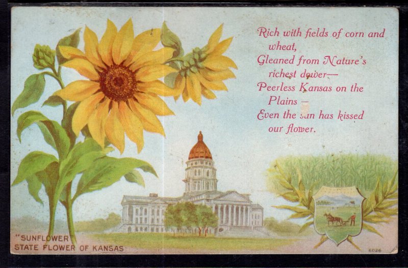 Sunflower State Flower of Kansas BIN