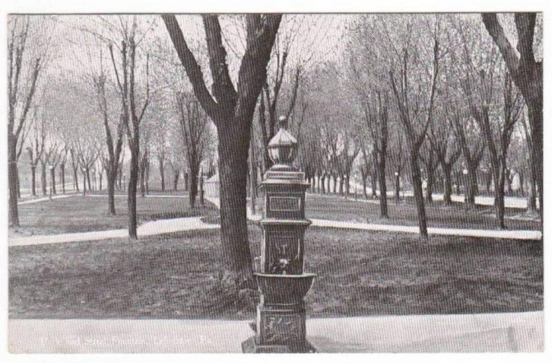 Street Fountain City Park Lehighton Pennsylvania 1914 postcard