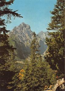 B83640 pohled z magistraly do malej studenej doliny  vysoke tatry  slovakia