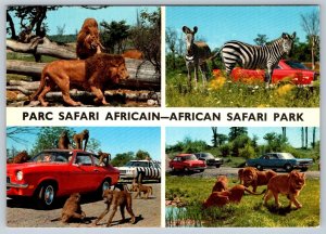 Chevy Vega, African Lion Safari, Rockton Ontario Canada Multiview Postcard #2