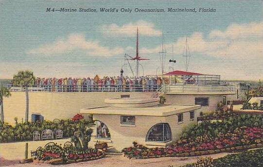 Florida Marineland Marine Studios Worlds Only Oceanarium