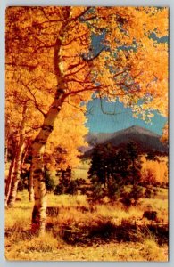 Union Oil Company - Scenes of The West - 76 Gasoline - Flagstaff, Arizona