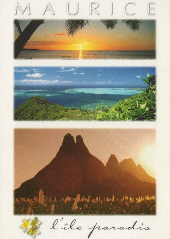 Mauritius Postcard - Maurice - L'ile Paradis RR8868 