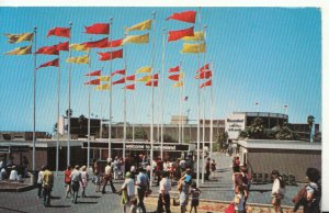 America Postcard - Marineland - Palos Verdes Peninsula - California - TZ11273 