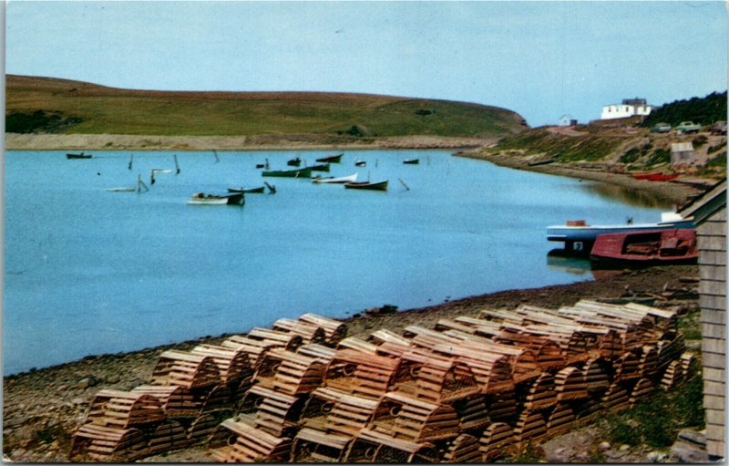 Postcard NS Bay St. Lawrence Fishing Village Cape Breton Island 1960s K58