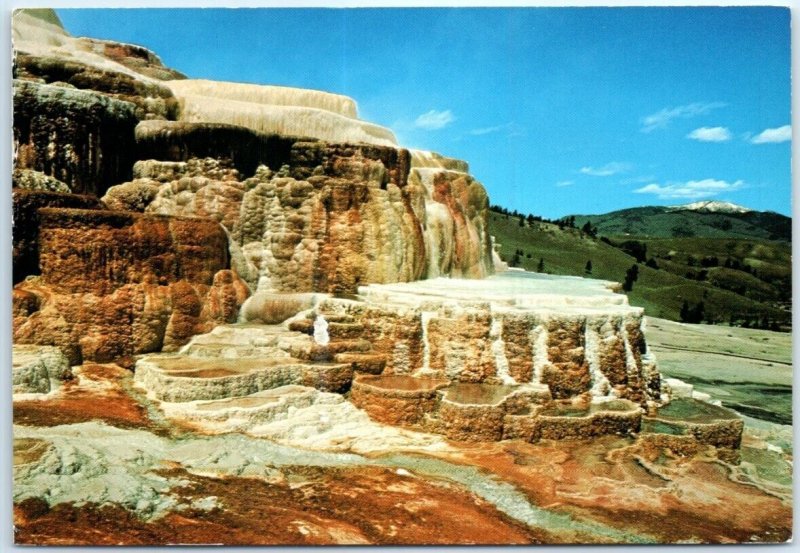 Postcard - Minerva Terrace, Yellowstone National Park - Wyoming