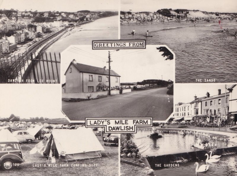 Ladys Lady's Mile Farm Dawlish Camping Tents Devon RPC Postcard