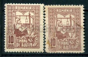 509338 ROMANIA 1918 Queen Elizabeth at work Timbru de Ajutor