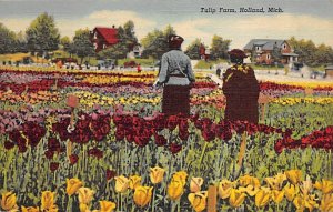 Nelis Tulip Farm Tulip Time Holland MI 