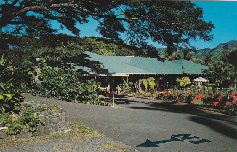 Manoa Valley Hawaii 1950 60s Waioli Tea Room Hippostcard