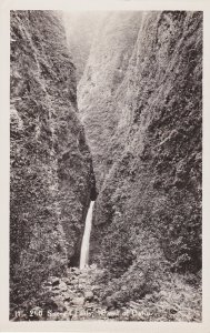 Hawaii Oahu Sacred Falls Real Photo