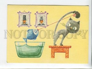 3179559 cat fishes in the aquarium old postcard