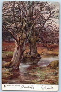 Baltimore Maryland MD Postcard Woodland Waters Charms 1906 Oilette Tuck Art