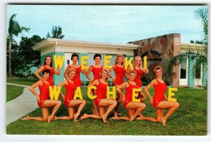 Weeki Wachee Mermaids Florida Postcard Ladies In Swimsuits Holding Letters Retro