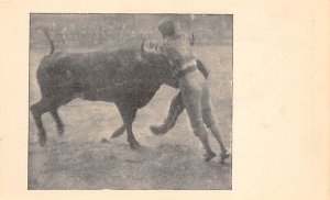 Bull FIghting Tarjeta Postal Bullfighting Unused 