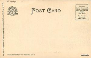 C-1910 St Louis Missouri Bird Cage Forest Park undivided postcard 4792