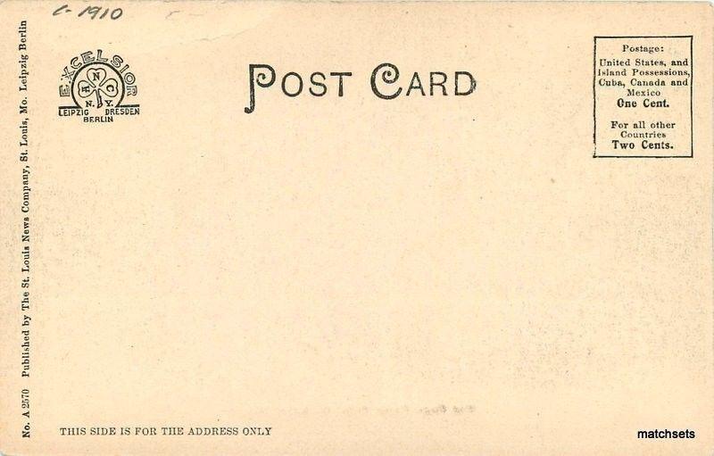 C-1910 St Louis Missouri Bird Cage Forest Park undivided postcard 4792