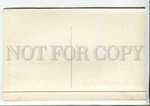 438040 Spain Tenerife Santa Cruz Banana trees Vintage photo postcard