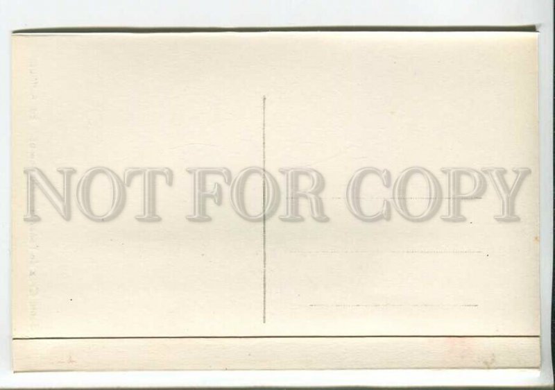 438040 Spain Tenerife Santa Cruz Banana trees Vintage photo postcard