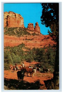 Vintage Cattle Country Oak Creek Canyon, Arizona. Postcard P60E