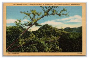 Leaning Locust Chimney Top Great Smokey Mountains UNP Linen Postcard V22