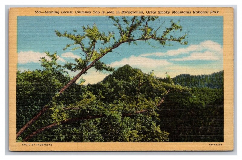 Leaning Locust Chimney Top Great Smokey Mountains UNP Linen Postcard V22