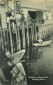 1940s Postcard; Bringing in Herring Catch, Friendship ME Fishing Boats at Pier