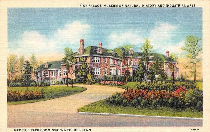 MEMPHIS, Tennessee TN   PINK PALACE~Museum Of Natural History  ca1940's Postcard