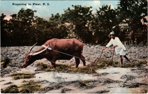 PC CPA PHILIPPINES, PREPARING TO PLANT, Vintage Postcard (b19096)